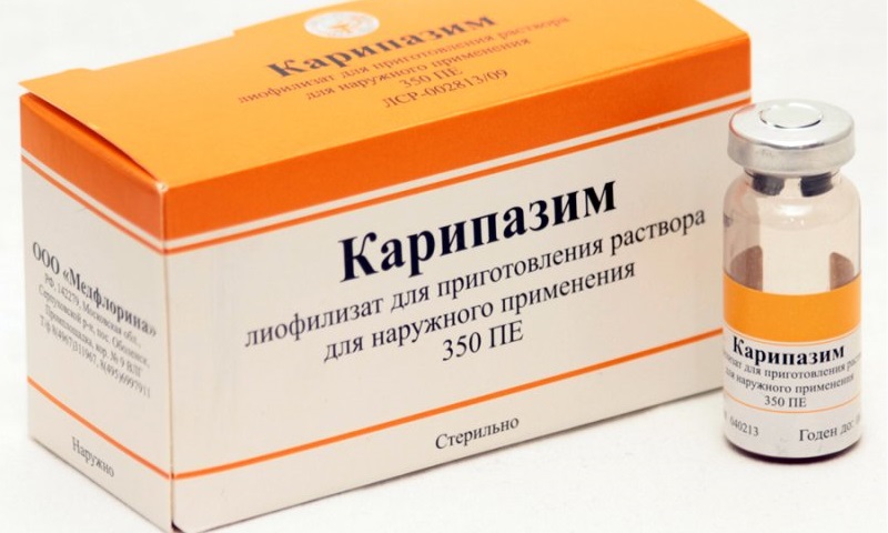 Карипазим при лечении грыжи позвоночника: инструкция по применению